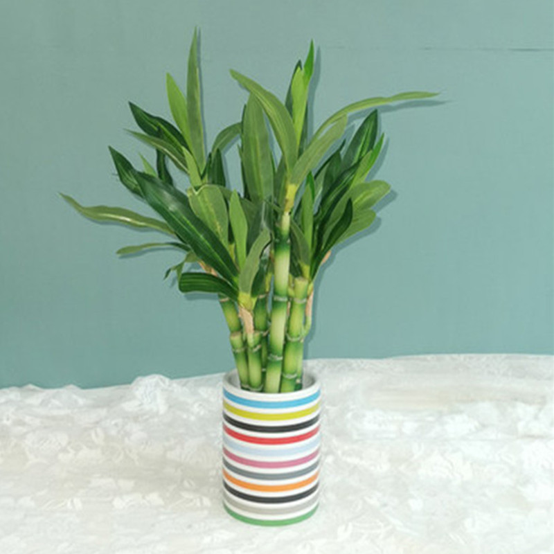 Novo 40cm rftificial sorte bam - Desktop Organizer Bamboo avaliação e preço